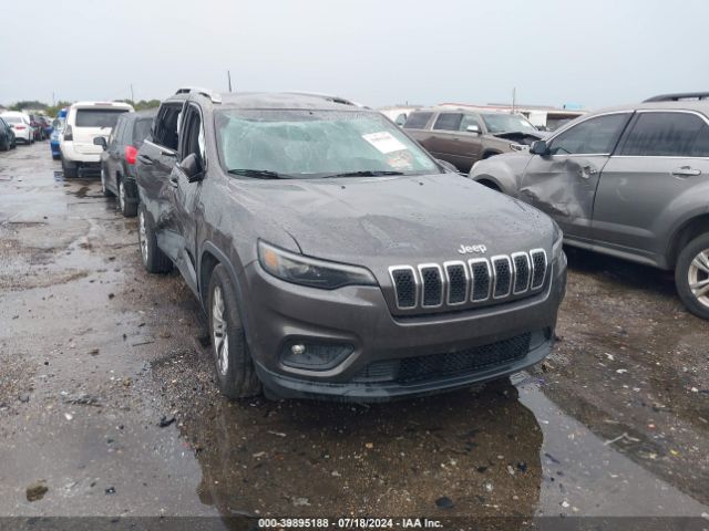 JEEP CHEROKEE 2019 1c4pjllbxkd308315