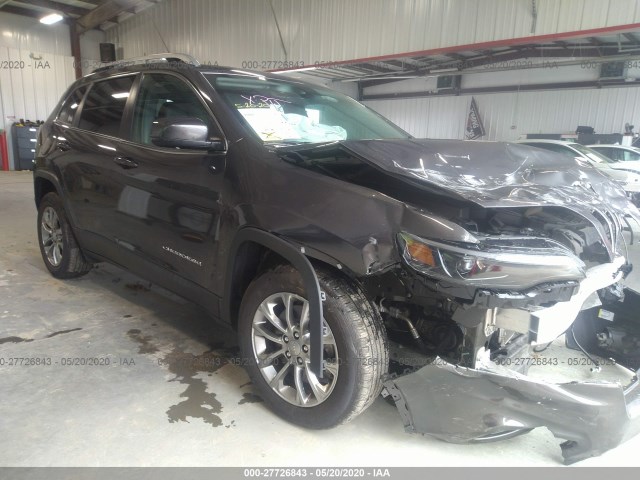 JEEP CHEROKEE 2019 1c4pjllbxkd318746