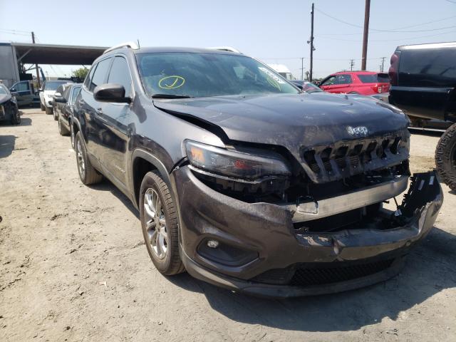 JEEP CHEROKEE 2019 1c4pjllbxkd365677