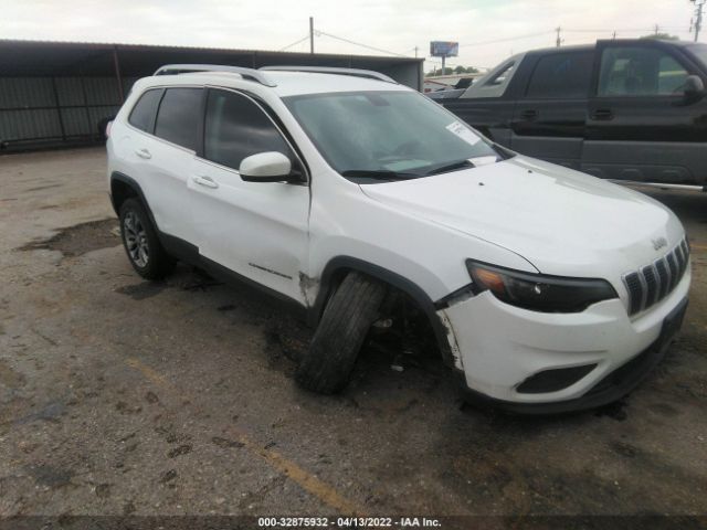 JEEP CHEROKEE 2019 1c4pjllbxkd366022