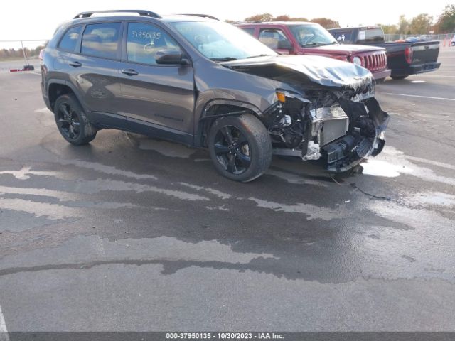 JEEP CHEROKEE 2019 1c4pjllbxkd439759