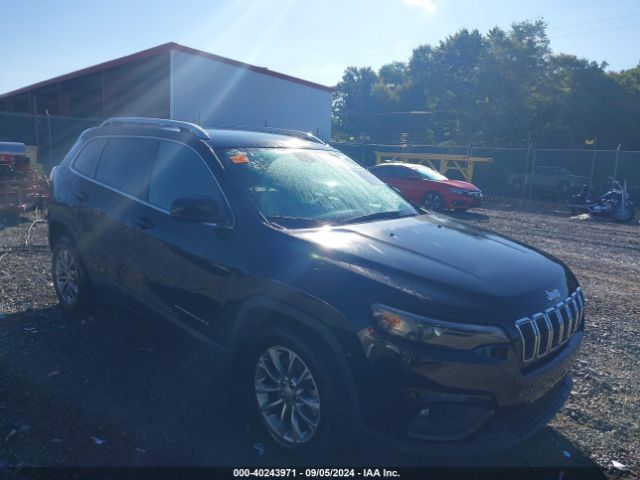 JEEP CHEROKEE 2019 1c4pjllbxkd454357