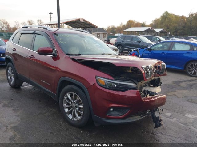 JEEP CHEROKEE 2019 1c4pjllbxkd454617