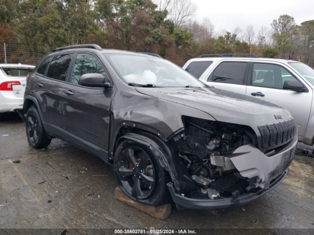 JEEP CHEROKEE 2019 1c4pjllbxkd485236