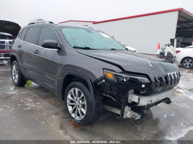 JEEP CHEROKEE 2019 1c4pjllnxkd147541