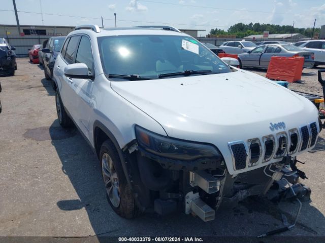 JEEP CHEROKEE 2019 1c4pjllx7kd242981