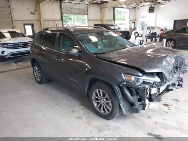 JEEP CHEROKEE 2020 1c4pjllx8ld645546