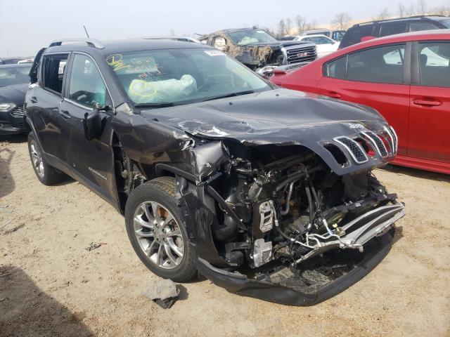 JEEP CHEROKEE L 2019 1c4pjllx9kd128917