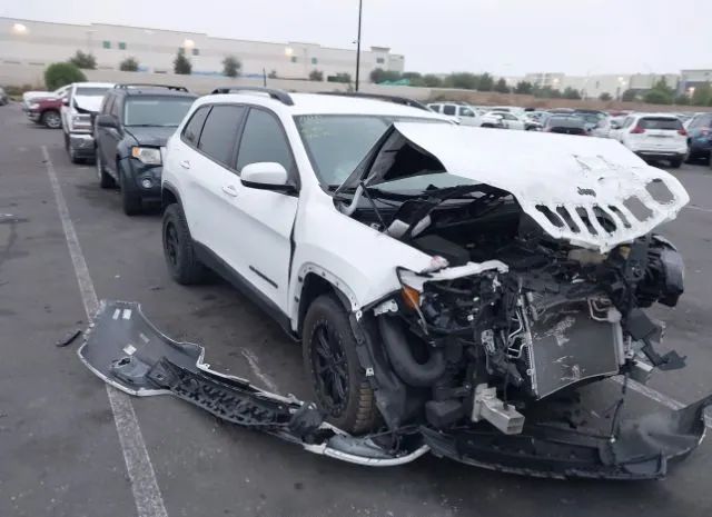 JEEP CHEROKEE 2019 1c4pjllx9kd353550