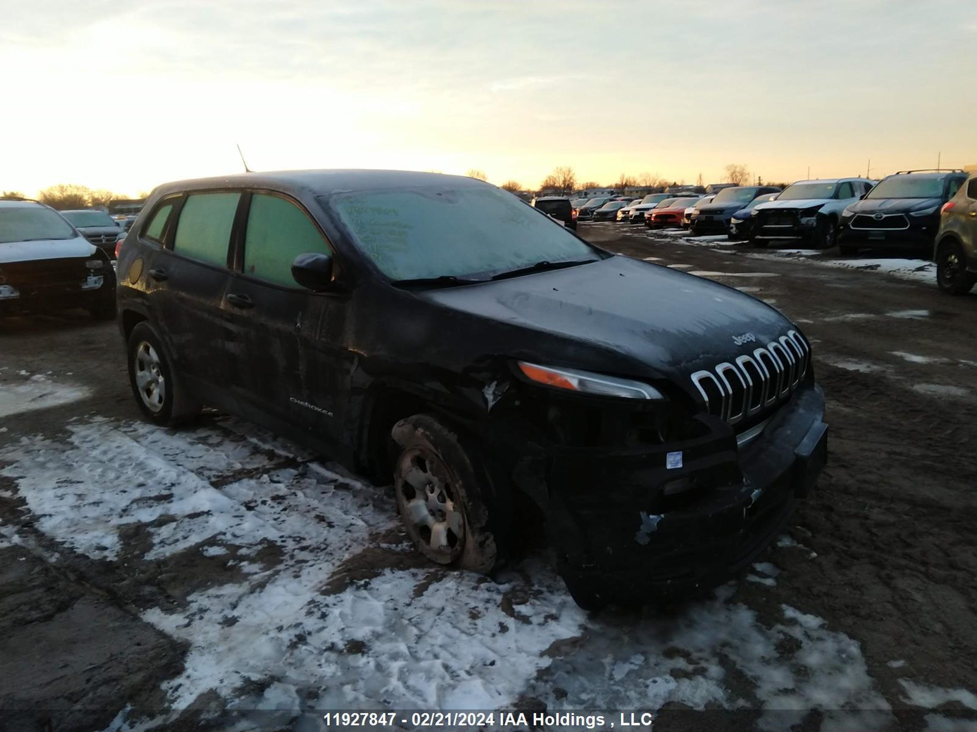 JEEP CHEROKEE 2014 1c4pjmab3ew301269