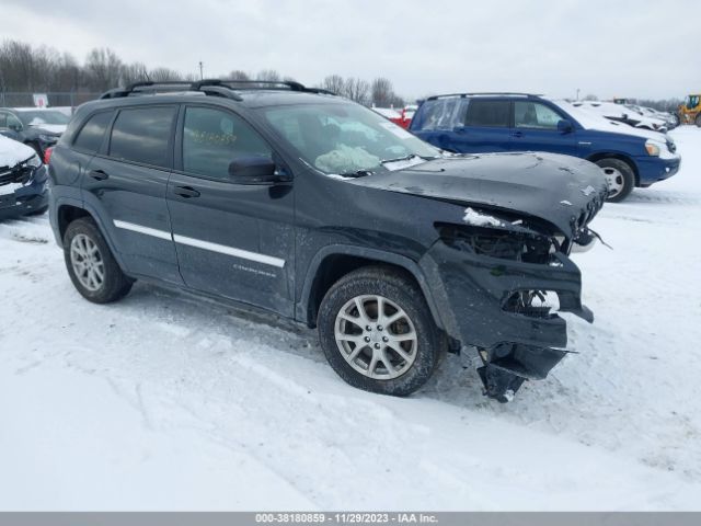 JEEP CHEROKEE 2016 1c4pjmab4gw267488