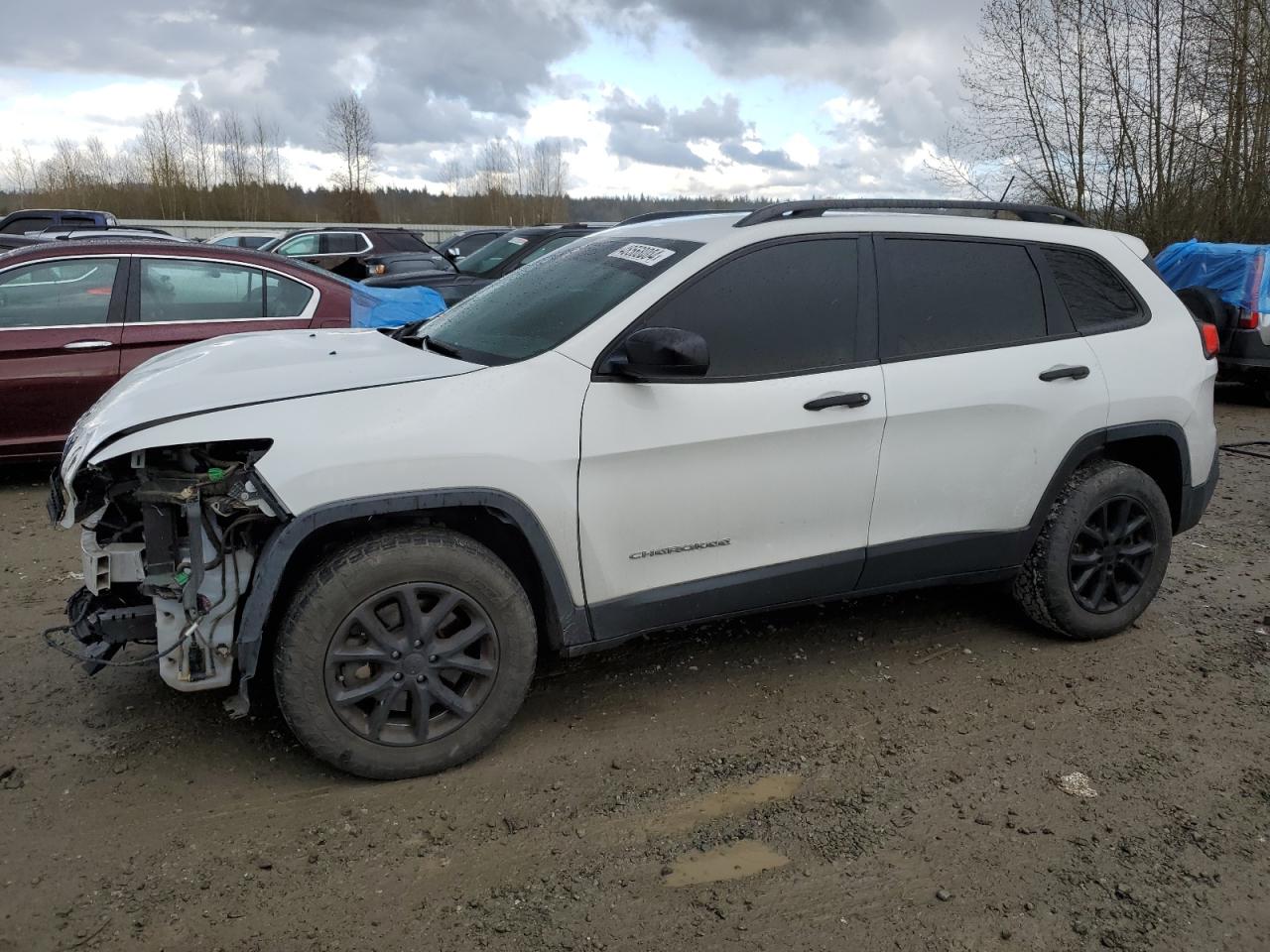 JEEP GRAND CHEROKEE 2017 1c4pjmab4hw602301