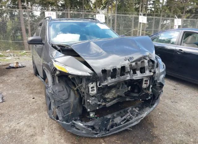 JEEP CHEROKEE 2016 1c4pjmab5gw333062