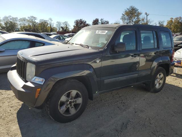 JEEP LIBERTY SP 2012 1c4pjmak4cw173024