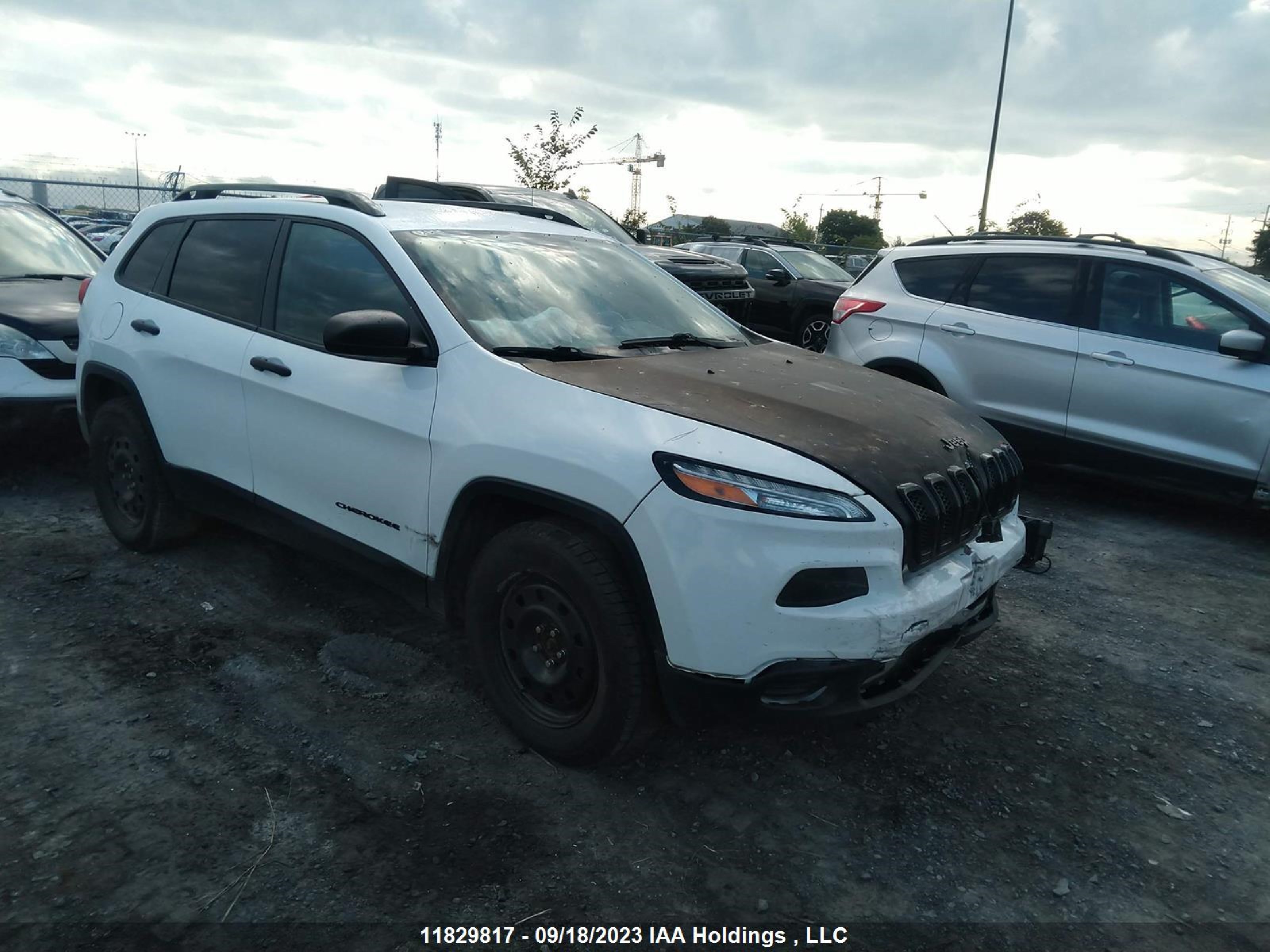 JEEP CHEROKEE 2017 1c4pjmas9hw648741