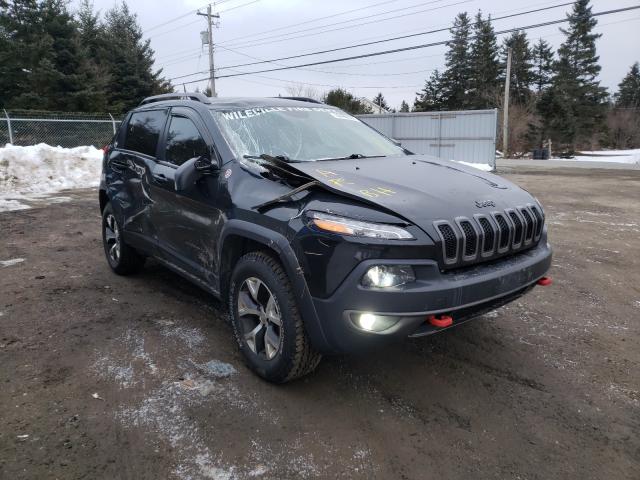 JEEP CHEROKEE T 2016 1c4pjmbb2gw299242