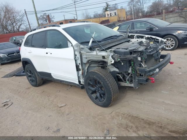 JEEP CHEROKEE 2017 1c4pjmbb2hw625784