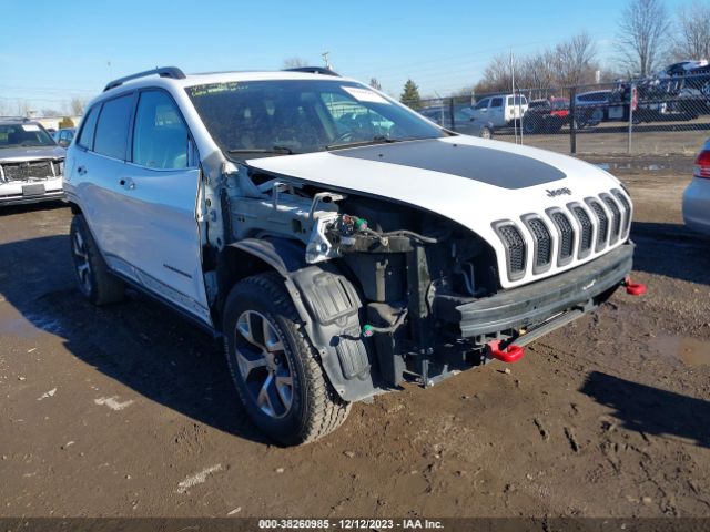 JEEP CHEROKEE 2014 1c4pjmbb4ew187491