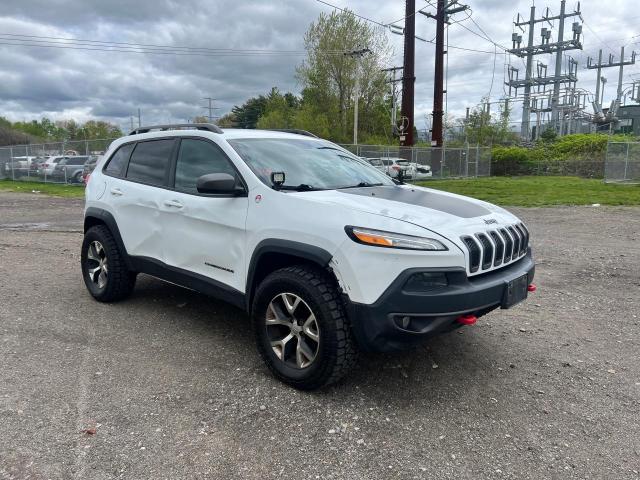 JEEP CHEROKEE 2014 1c4pjmbb6ew164293