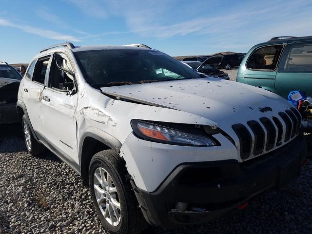 JEEP CHEROKEE T 2014 1c4pjmbb8ew282040