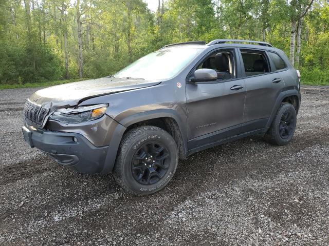 JEEP CHEROKEE T 2019 1c4pjmbn0kd330308