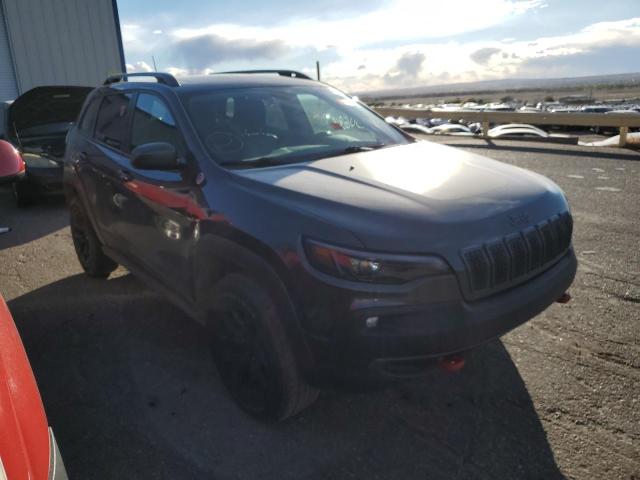 JEEP CHEROKEE 2019 1c4pjmbn0kd395398