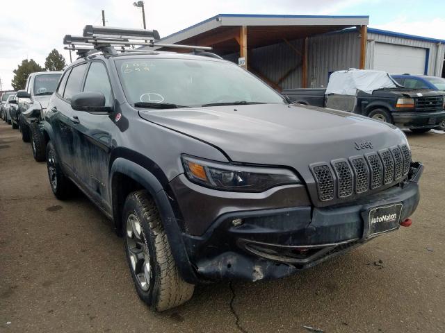 JEEP CHEROKEE T 2019 1c4pjmbn2kd306396