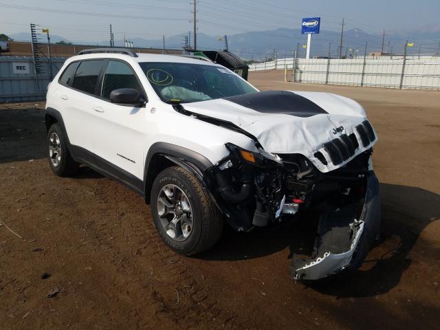 JEEP CHEROKEE T 2019 1c4pjmbn3kd182834