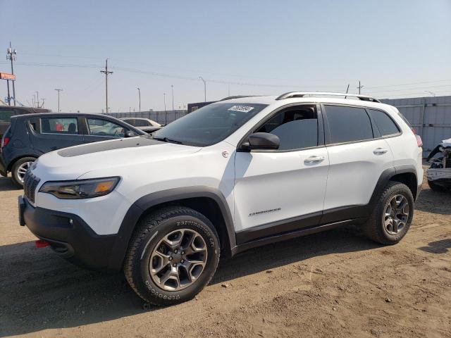 JEEP CHEROKEE T 2020 1c4pjmbn3ld537812