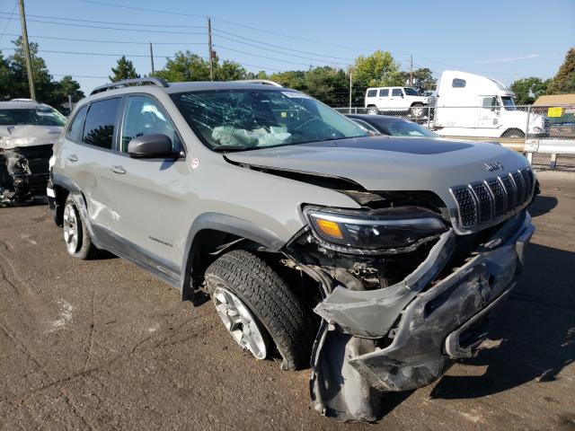 JEEP CHEROKEE T 2019 1c4pjmbn5kd372490