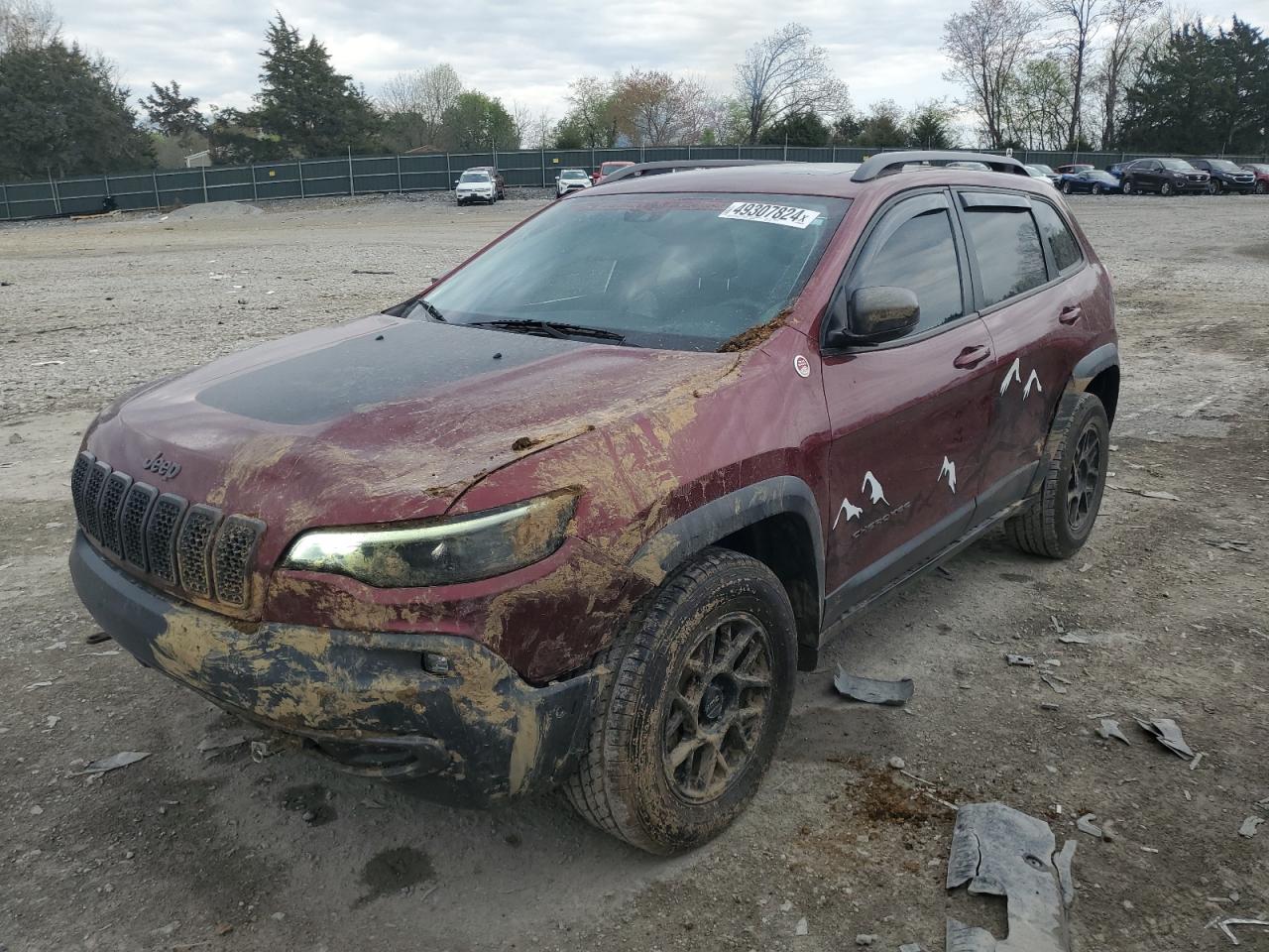 JEEP CHEROKEE 2019 1c4pjmbn7kd211588