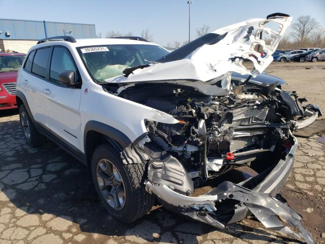 JEEP CHEROKEE T 2019 1c4pjmbnxkd190400