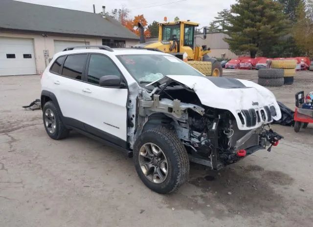 JEEP CHEROKEE 2019 1c4pjmbnxkd225288