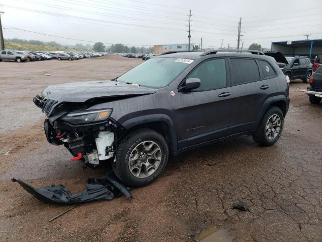 JEEP CHEROKEE T 2020 1c4pjmbnxld519209