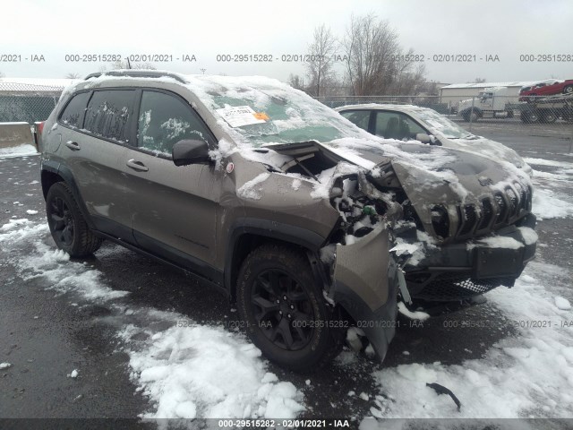 JEEP CHEROKEE 2017 1c4pjmbs0hw611477