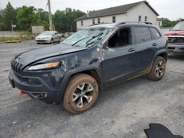 JEEP CHEROKEE T 2016 1c4pjmbs1gw199147