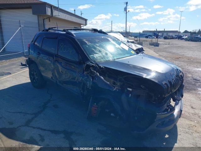 JEEP CHEROKEE 2017 1c4pjmbs1hw558319