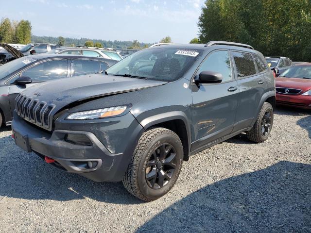 JEEP CHEROKEE T 2016 1c4pjmbs2gw236108