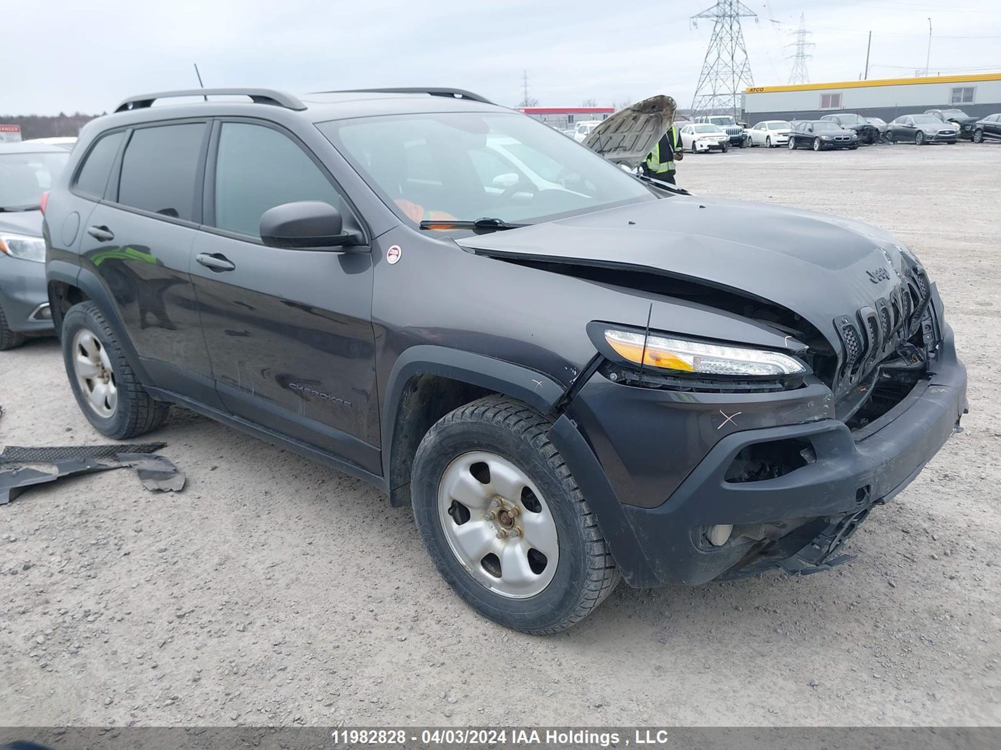 JEEP CHEROKEE 2016 1c4pjmbs2gw301863