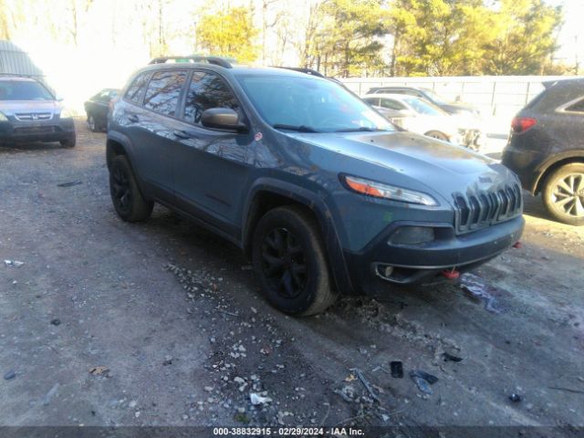 JEEP CHEROKEE 2014 1c4pjmbs3ew243436