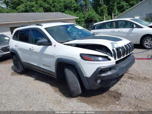 JEEP CHEROKEE 2016 1c4pjmbs3gw150497