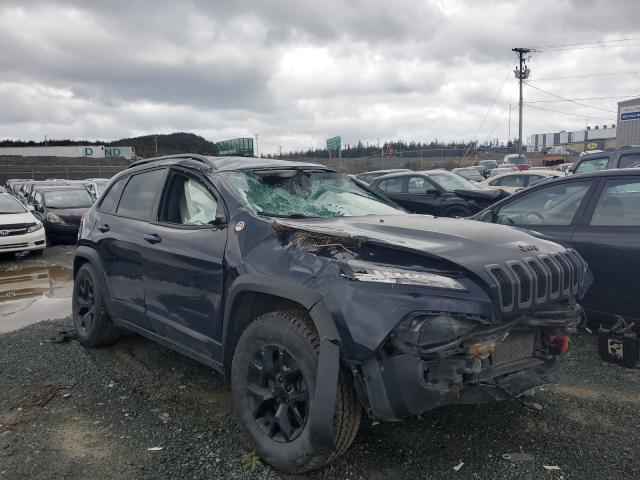 JEEP CHEROKEE T 2016 1c4pjmbs3gw185959