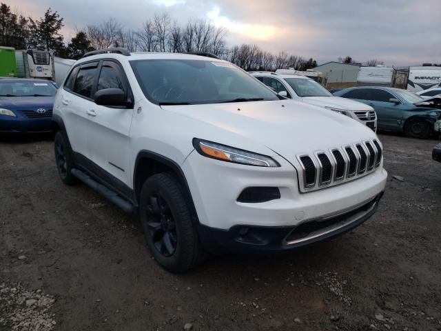 JEEP CHEROKEE T 2017 1c4pjmbs3hw545684