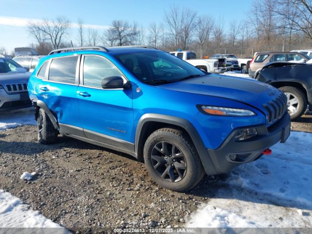 JEEP CHEROKEE 2017 1c4pjmbs3hw600974