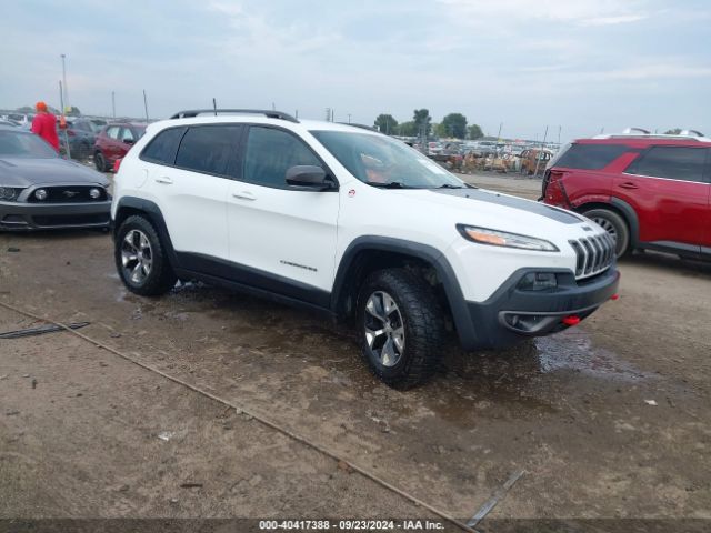 JEEP CHEROKEE 2017 1c4pjmbs3hw636602