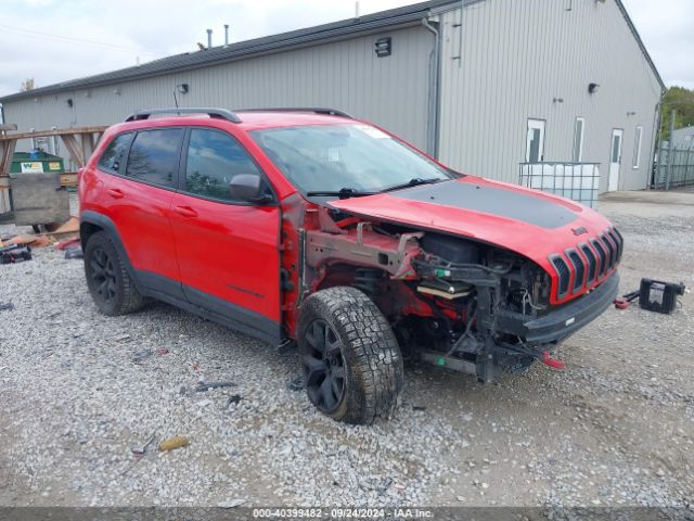 JEEP CHEROKEE 2017 1c4pjmbs3hw655375