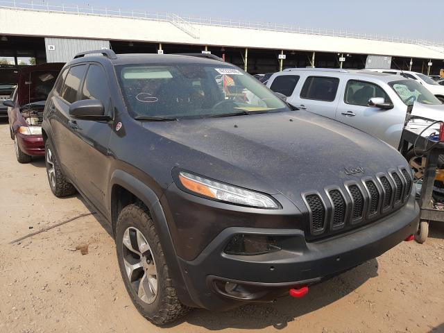 JEEP CHEROKEE T 2014 1c4pjmbs4ew157259