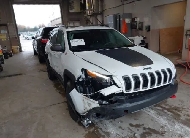 JEEP CHEROKEE 2014 1c4pjmbs4ew281306