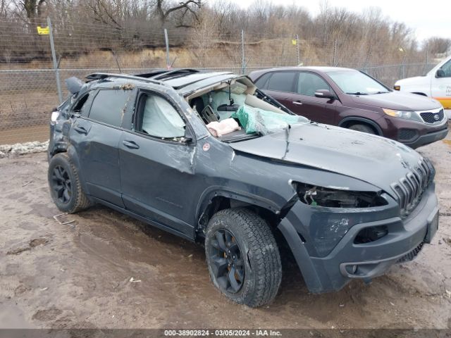 JEEP CHEROKEE 2017 1c4pjmbs4hw633885