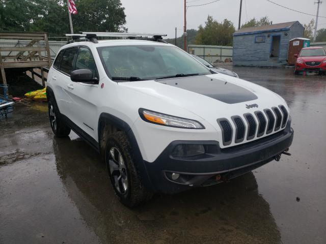 JEEP CHEROKEE T 2014 1c4pjmbs5ew161563